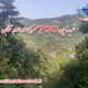 خرید زمین 700 متری سند دار در تنکابن