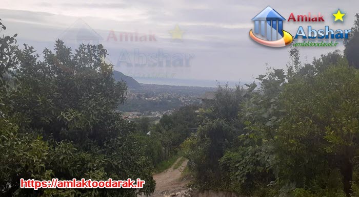 خرید زمین شمال