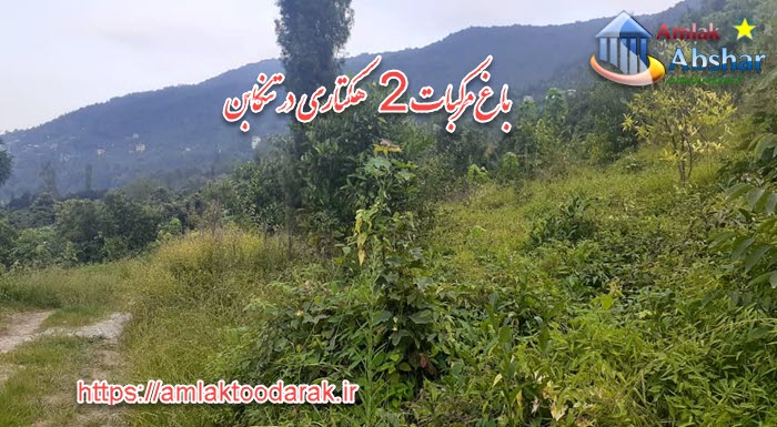 فروش باغ 2 هکتاری سند دار در تنکابن